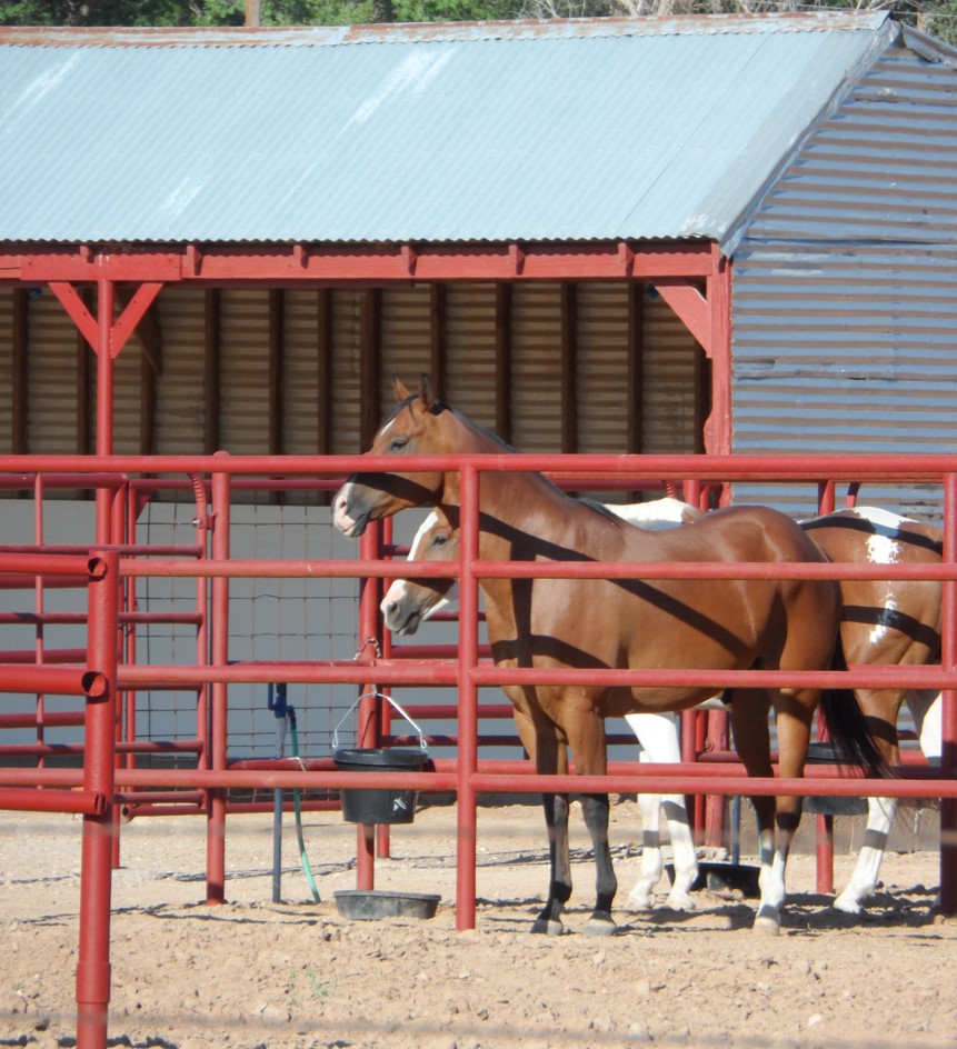 Photos J Bar C Horse Motel